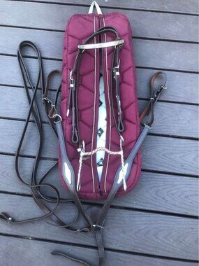Leather & Sterling Silver Horse Bridle, Breast Collar, Reins, bit and  carry bag